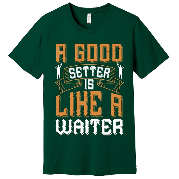 A Good Setter Is Like A Waiter Volleyball T -Shirt Assorted Colors